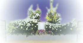 qƑfbNXv